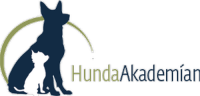 hundaakademian